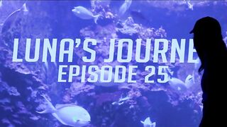 FIRST TIME IN HAWAII - LUNA'S JOURNEY (EPISODE 25) - 2 image