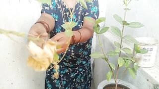 indian tamil village beauty house wife sex