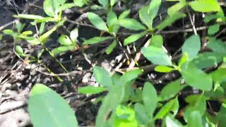 Sex In Public - Creampie