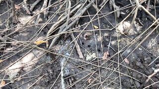 Sex In Public - Creampie