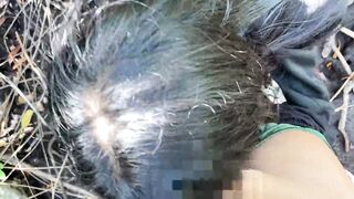 Sex In Public - Creampie