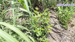 Komal walked ahead in the sugarcane field and her lover followed her - 5 image