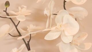 Massage is the art, and this asian teen knows how to pleasure her client