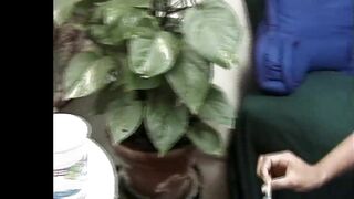 Asian Lollipops (Volume #2, Scene #1)