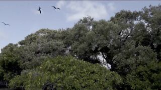 A DAY IN TULUM - LUNA'S JOURNEY (EPISODE 15) - 2 image
